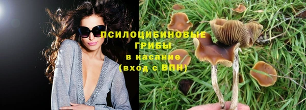 герыч Бугульма